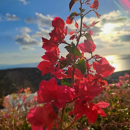 Dorothea Panoramic 아파트 *