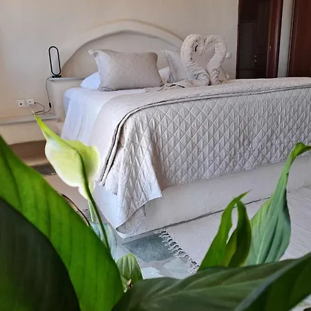 Dorothea Panoramic *