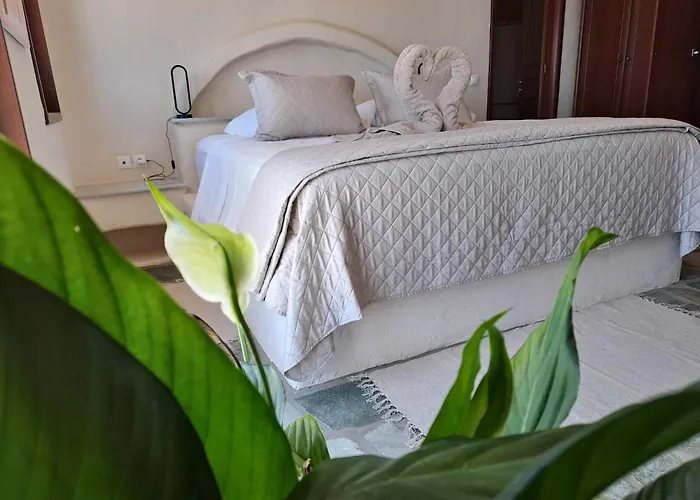 Dorothea Panoramic *