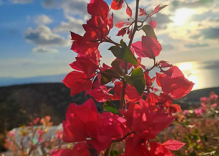 Dorothea Panoramic Lägenhet *